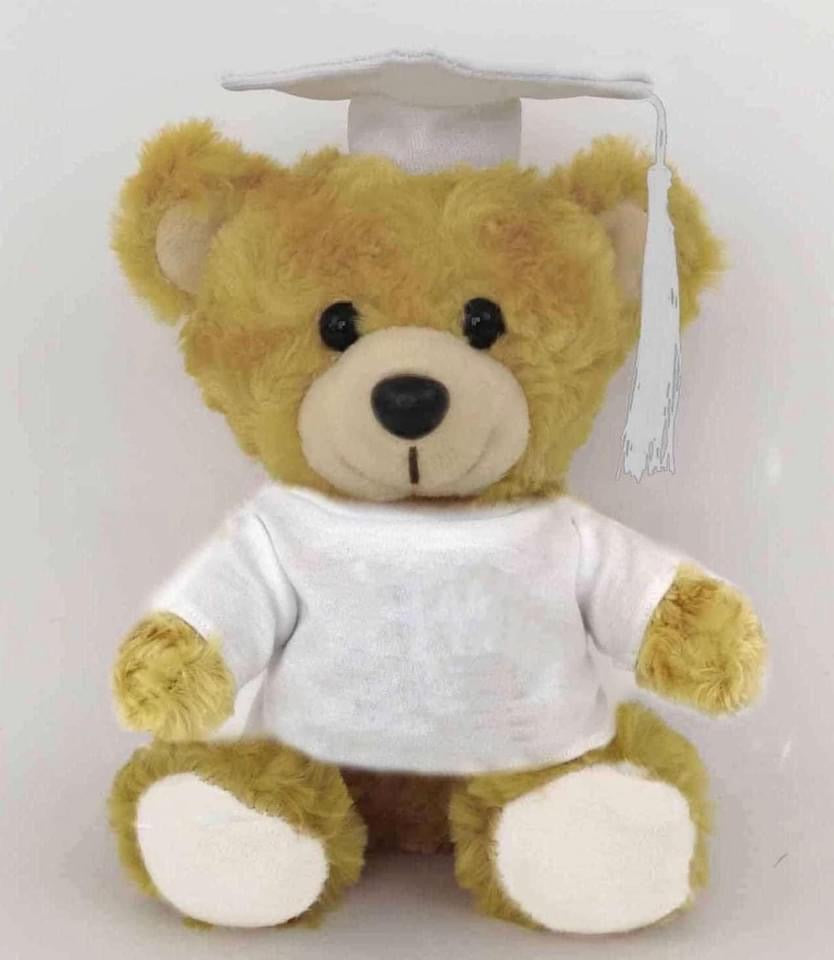Graduation teddy bear