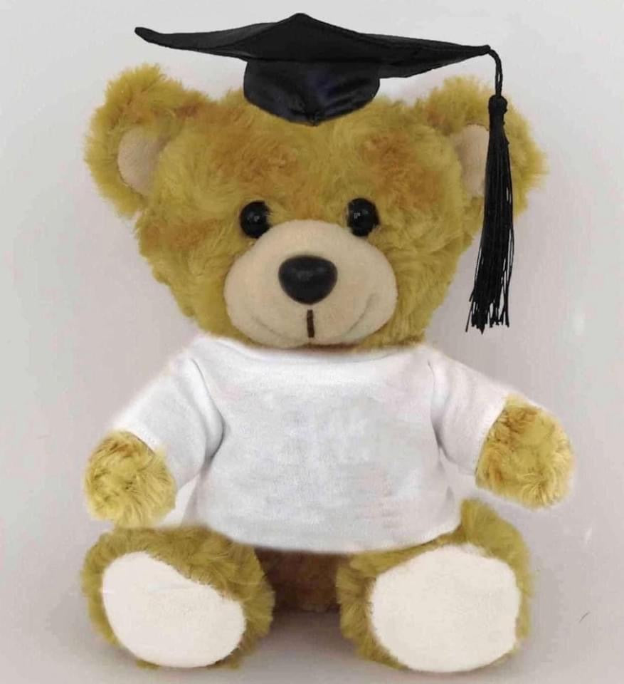 Graduation teddy bear